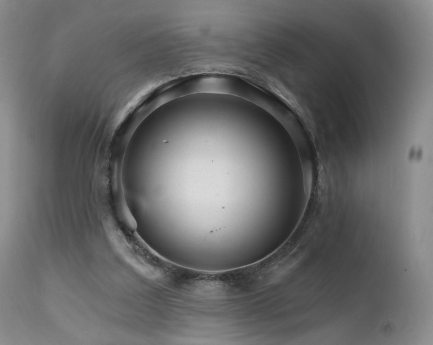 X0000111510203200907141344