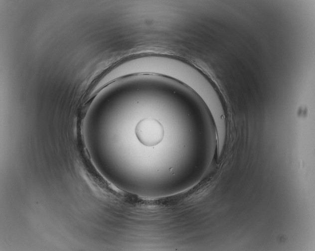X0000111510205200907141344