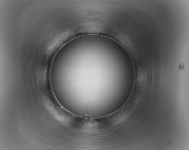 X0000111510206200907141344