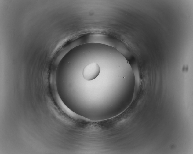 X0000111510207200907141344