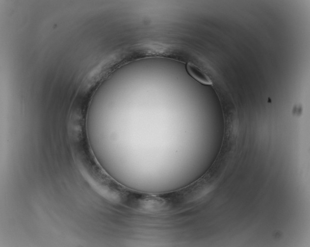 X0000111510215200907141344