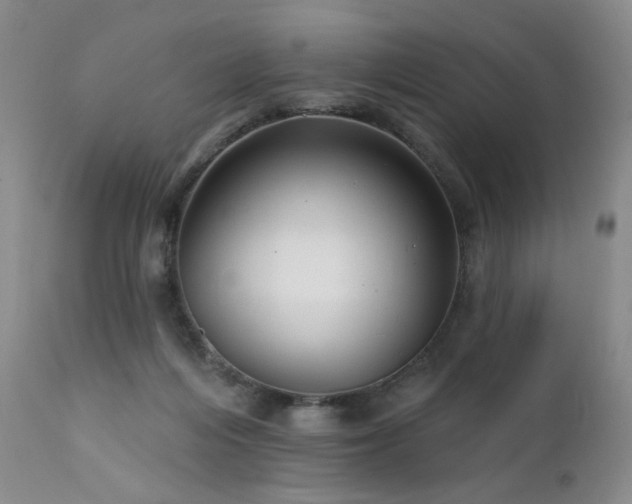 X0000111510216200907141344