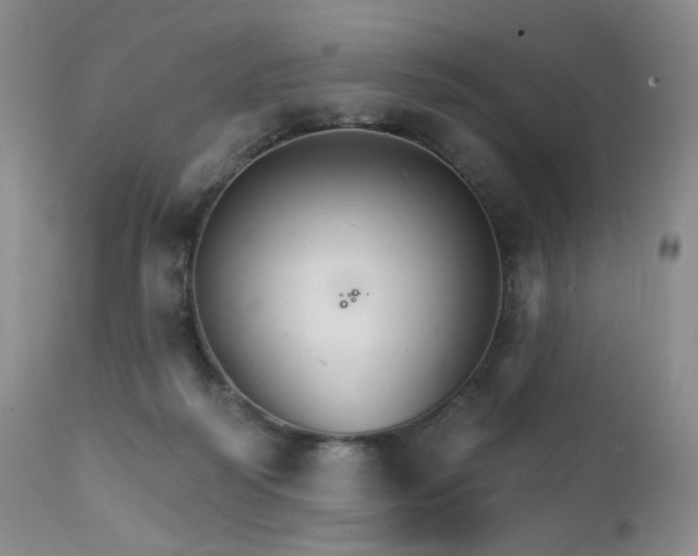 X0000111510218200907141344