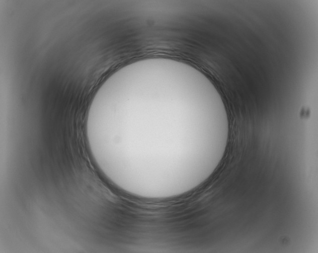 X0000111510219200907141344