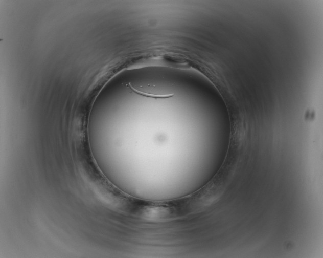 X0000111510220200907141344