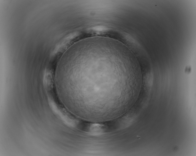 X0000111510222200907141344
