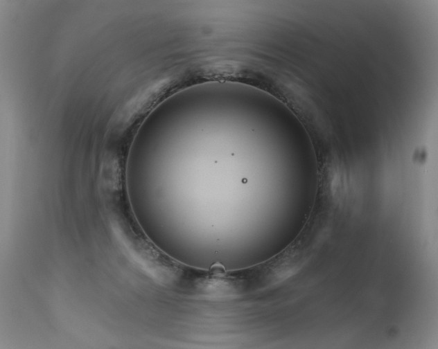 X0000111510224200907141344