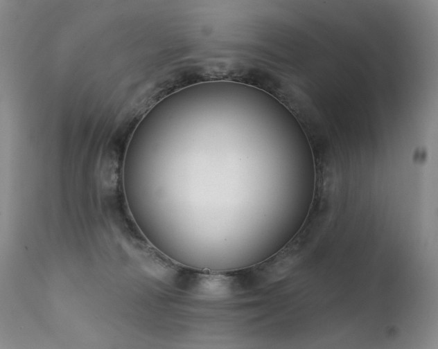 X0000111510226200907141344