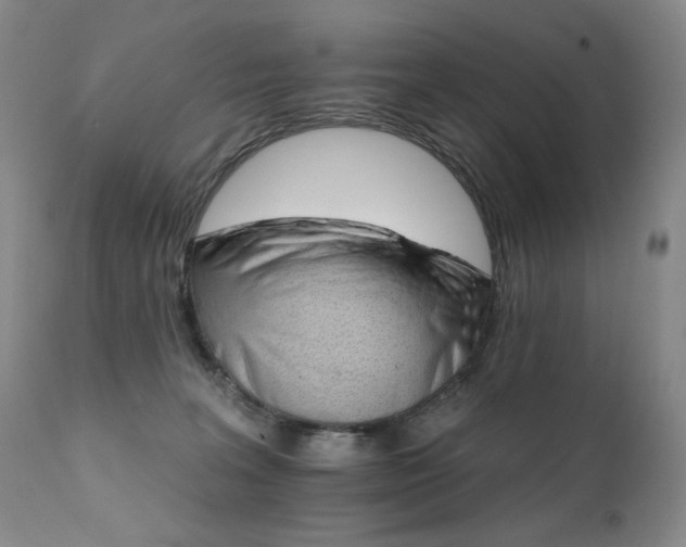 X0000111510227200907141344