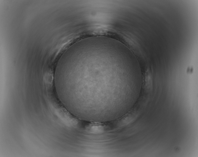 X0000111510228200907141344