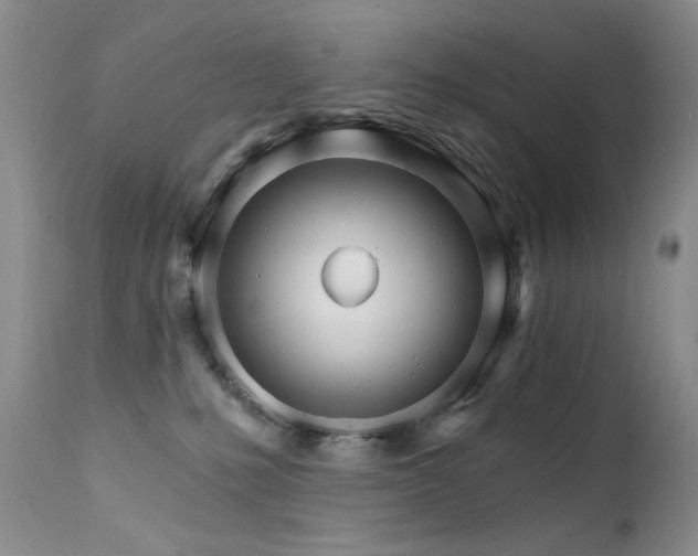 X0000111510231200907141344