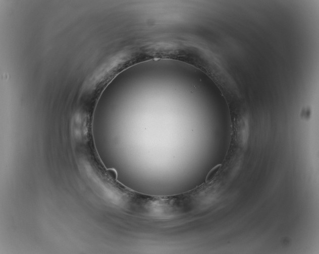 X0000111510232200907141344