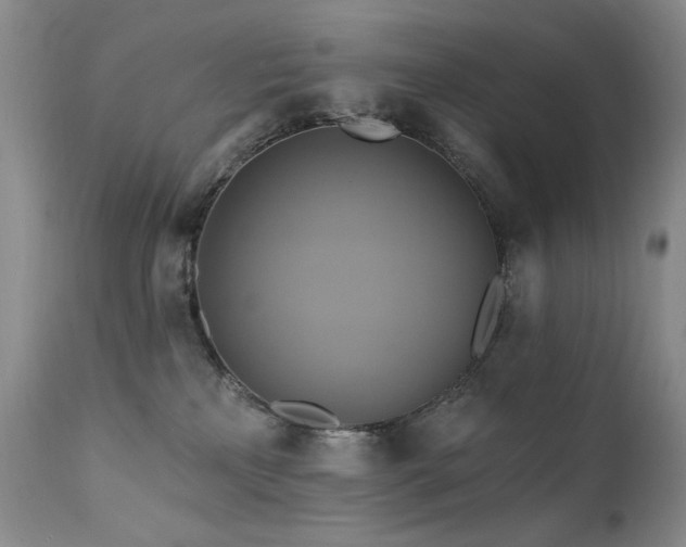 X0000111510233200907141344