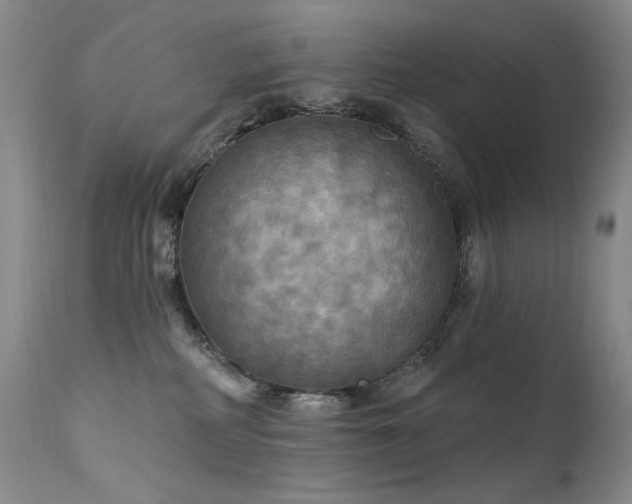 X0000111510234200907141344