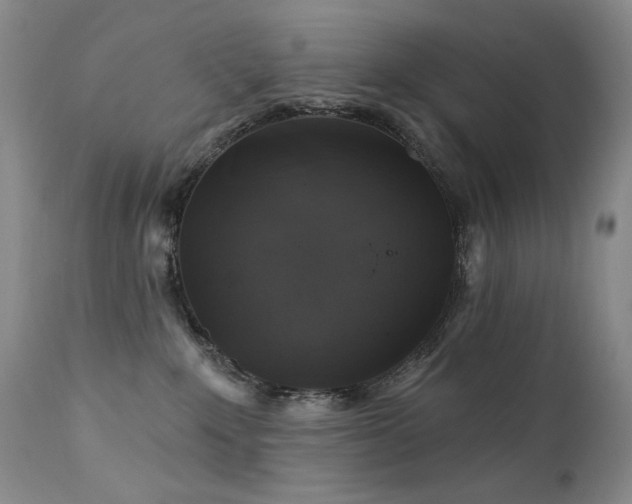 X0000111510235200907141344