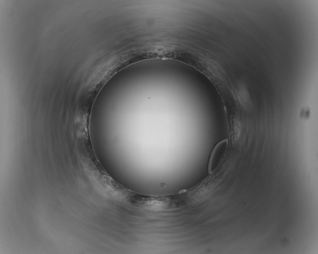 X0000111510236200907141344