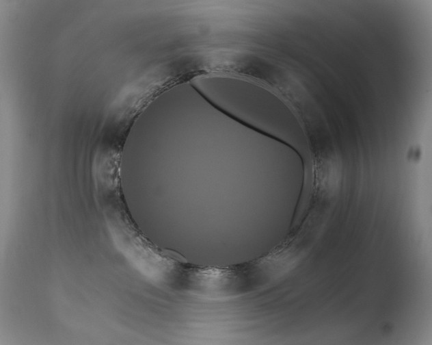 X0000111510237200907141344