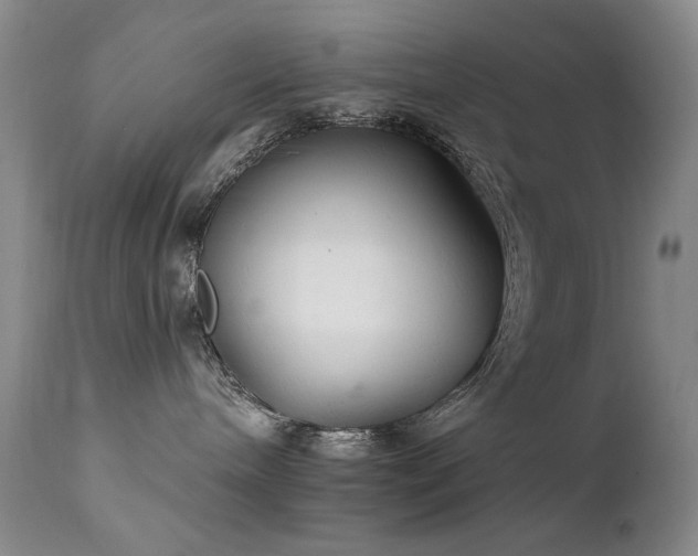 X0000111510240200907141344