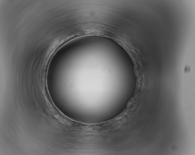 X0000111510241200907141343