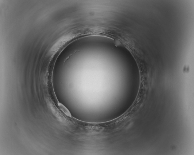 X0000111510242200907141343