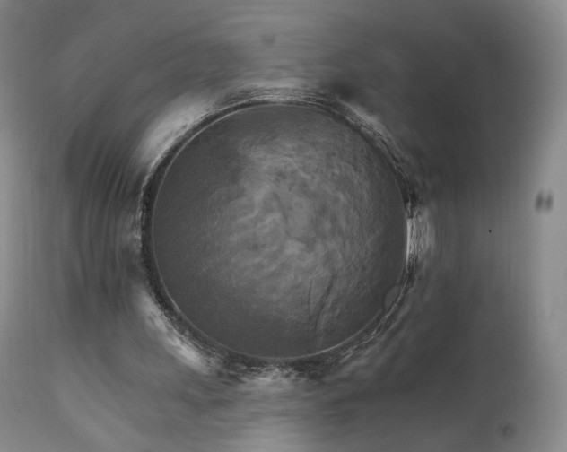 X0000111510243200907141343