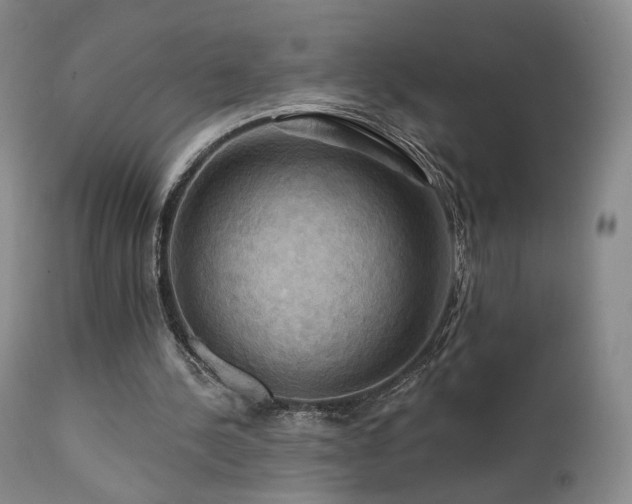 X0000111510244200907141343