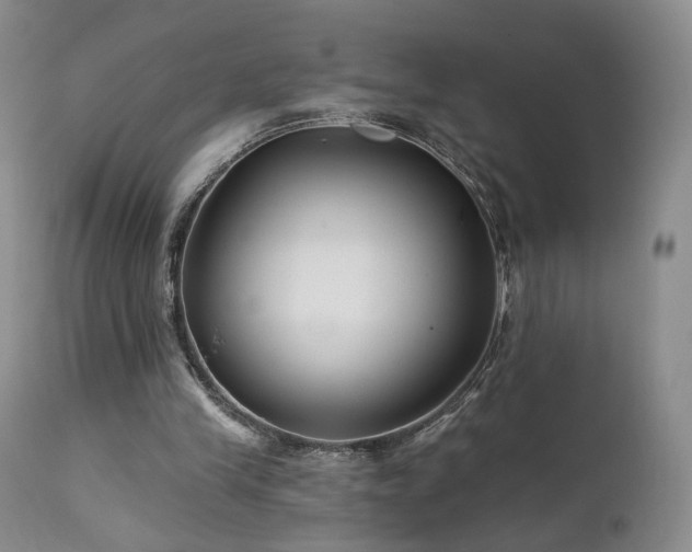 X0000111510245200907141343