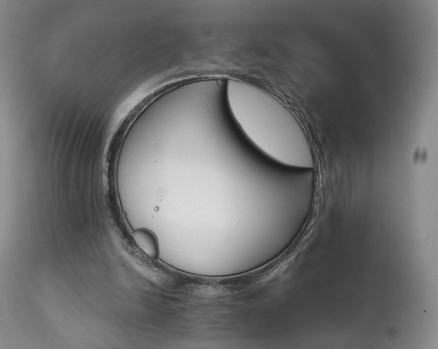 X0000111510246200907141343
