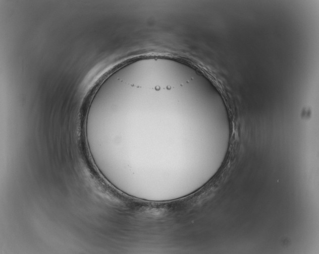 X0000111510247200907141343