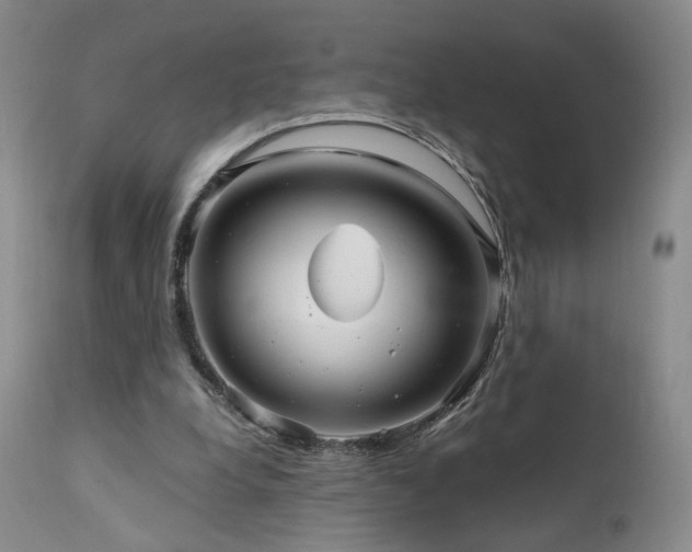 X0000111510248200907141343