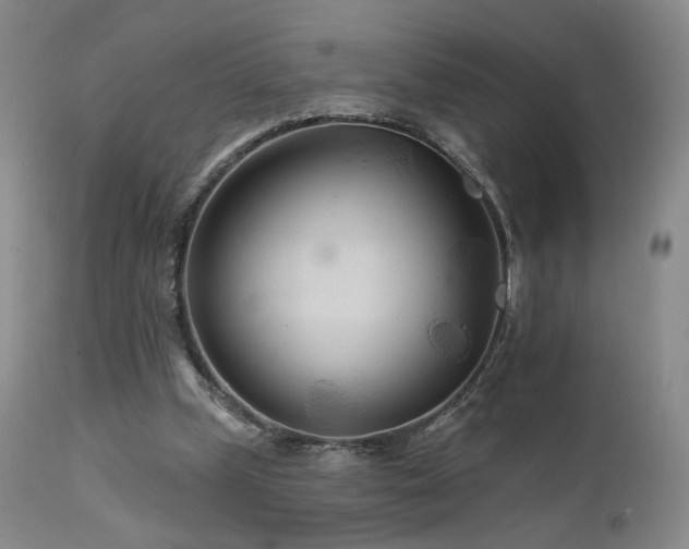X0000111510249200907141343