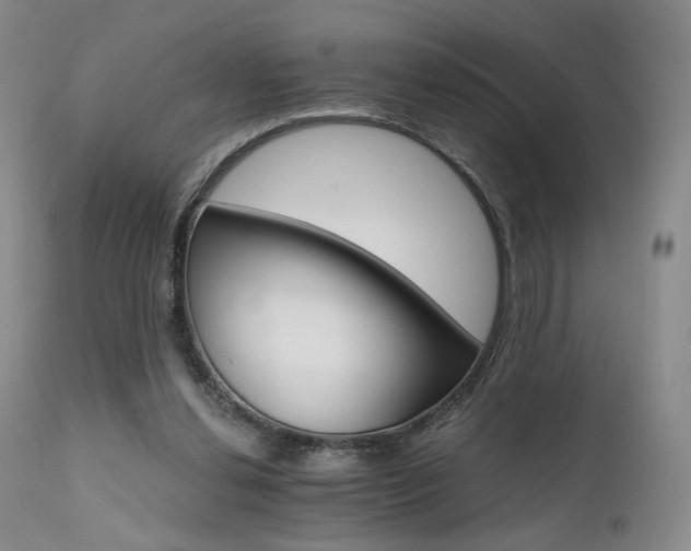 X0000111510252200907141343
