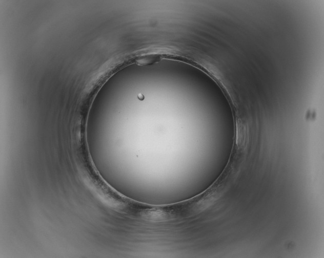X0000111510253200907141343