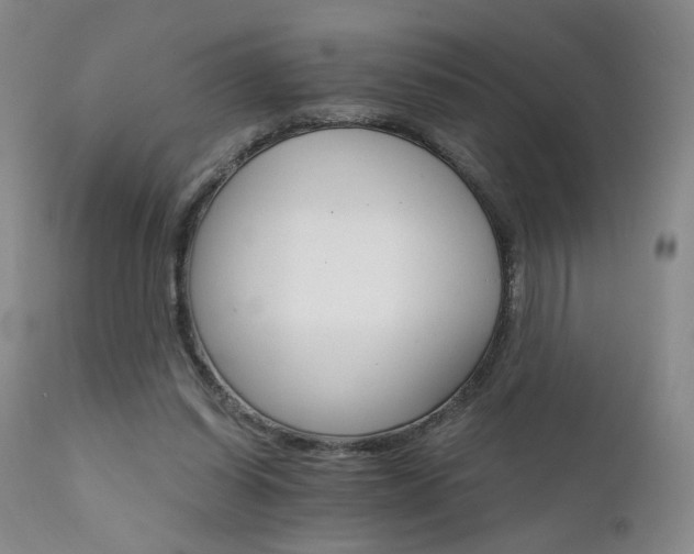 X0000111510254200907141343