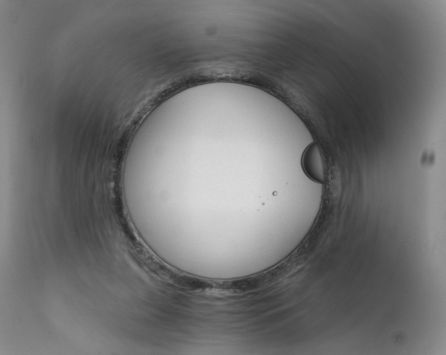 X0000111510255200907141343
