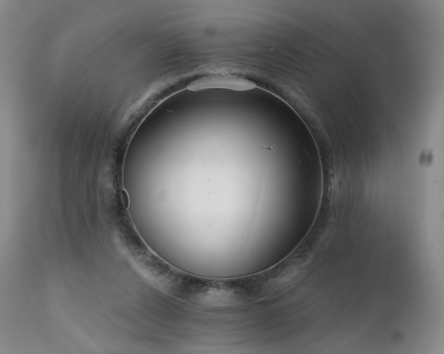 X0000111510256200907141343