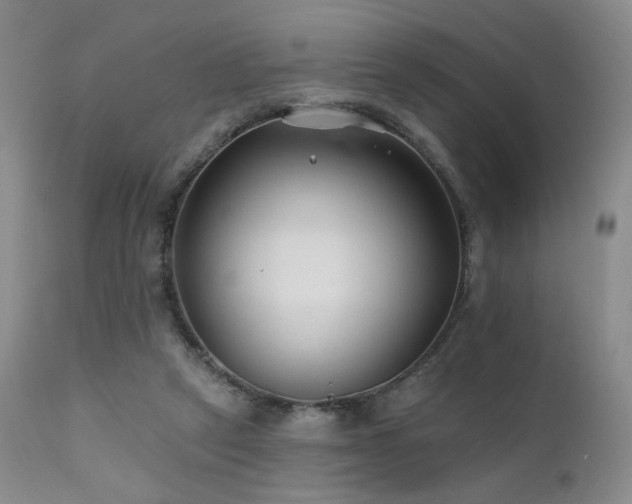 X0000111510257200907141343