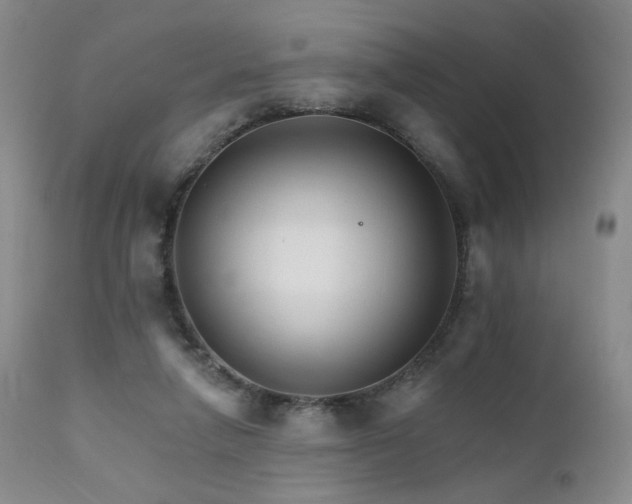X0000111510258200907141343