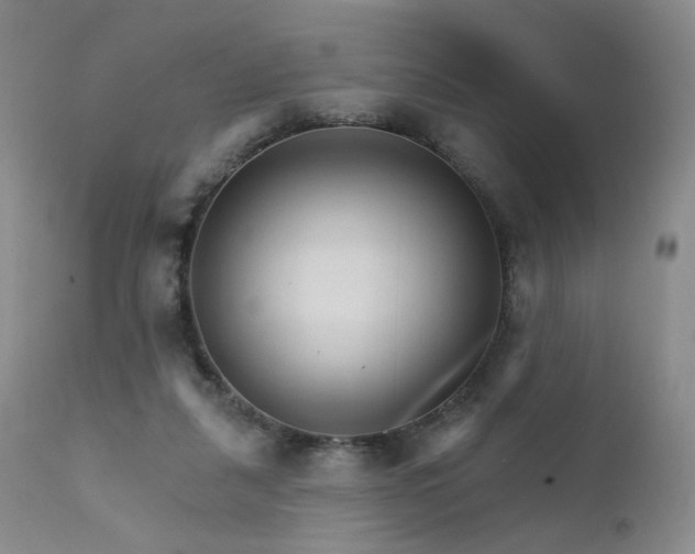 X0000111510259200907141343
