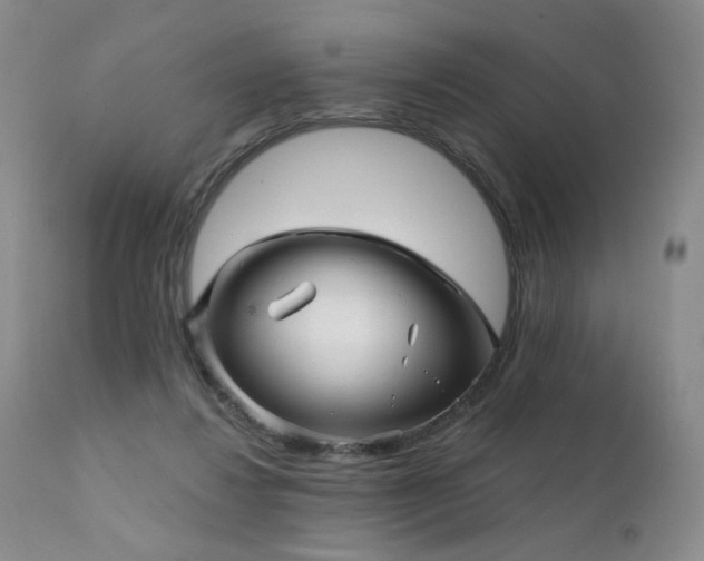 X0000111510260200907141343