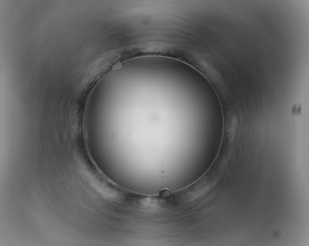 X0000111510261200907141343
