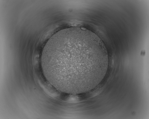X0000111510263200907141344
