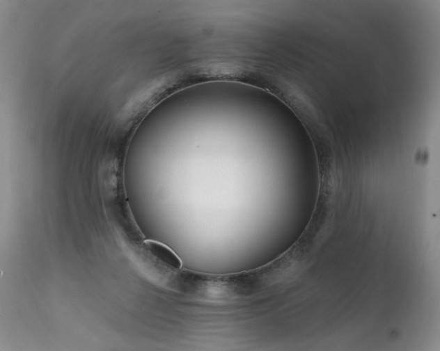 X0000111510264200907141344