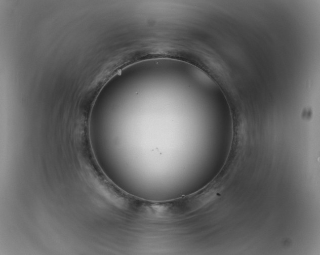 X0000111510265200907141344
