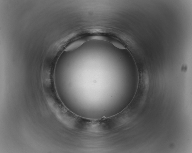X0000111510267200907141344