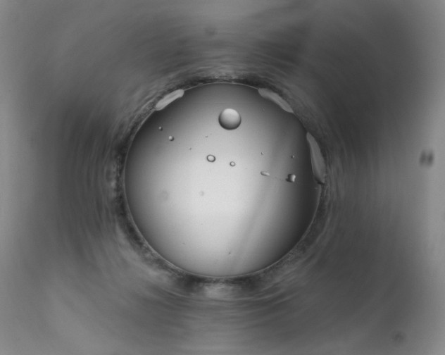 X0000111510268200907141344