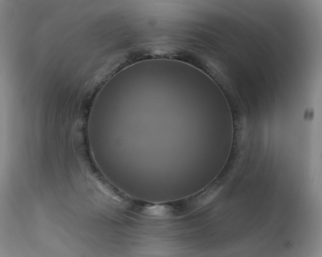 X0000111510269200907141344