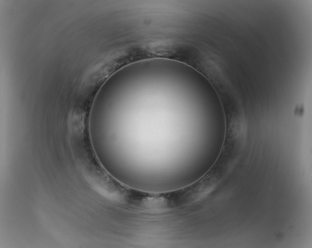 X0000111510271200907141344