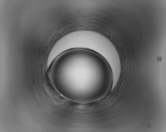 X0000111510272200907141344