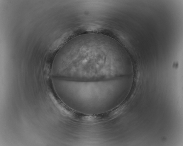 X0000111510273200907141344